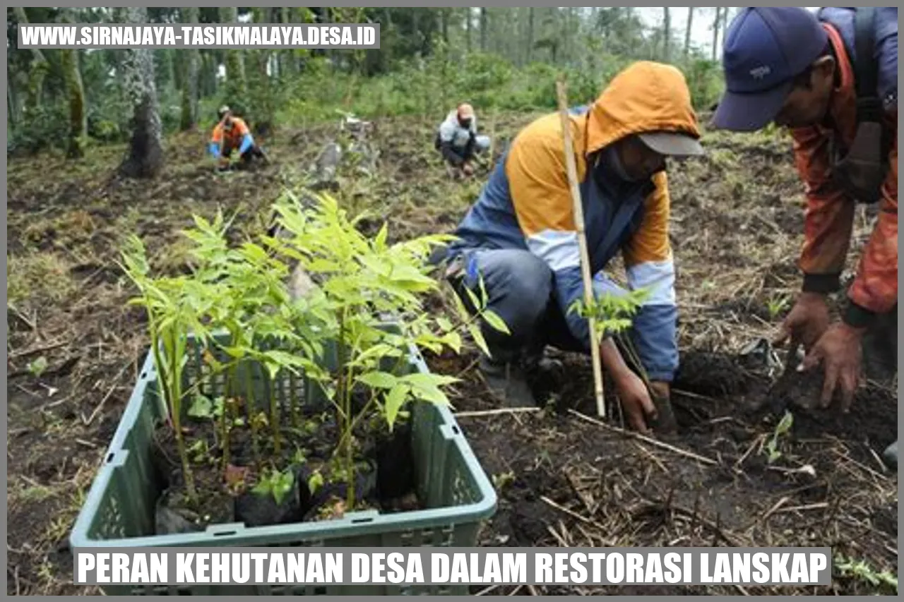 Erosi Tanah