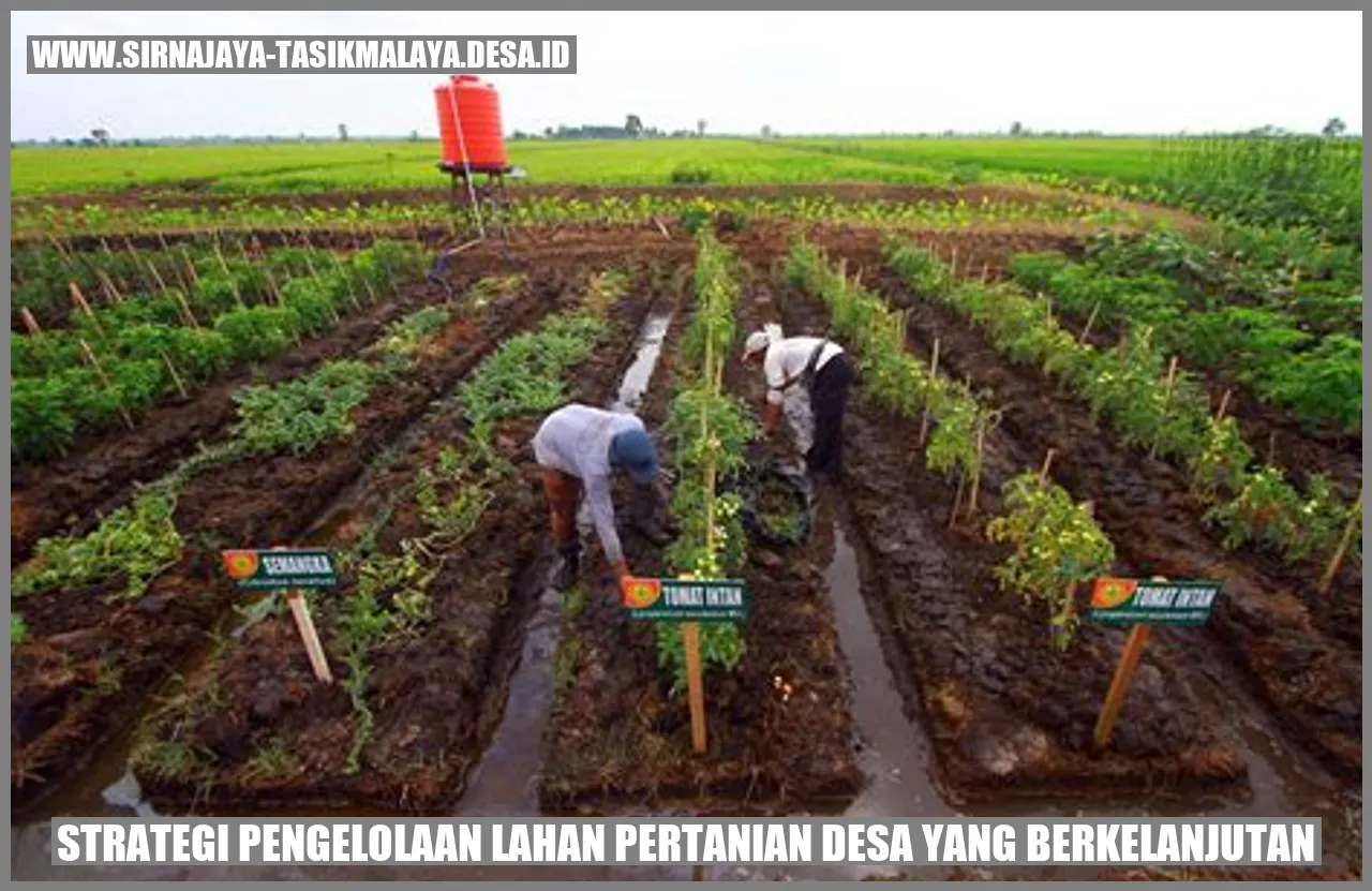 Strategi Pengelolaan Lahan Pertanian Desa yang Berkelanjutan